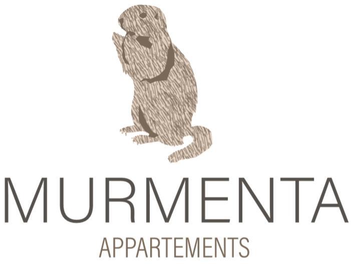 Murmenta Appartements Vandans Exteriér fotografie